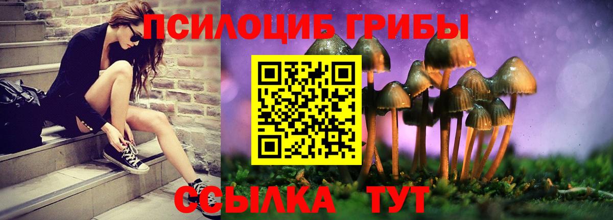 Нарткала  Псилоцибиновые грибы MAGIC MUSHROOMS  Вход с VPN 